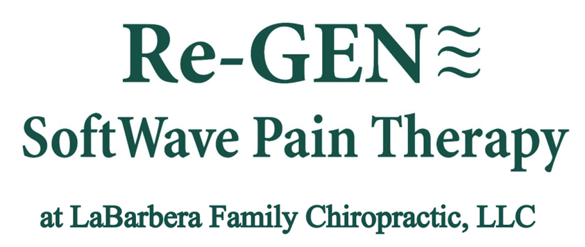 SILVER - Re-Gen LaBarbera Logo